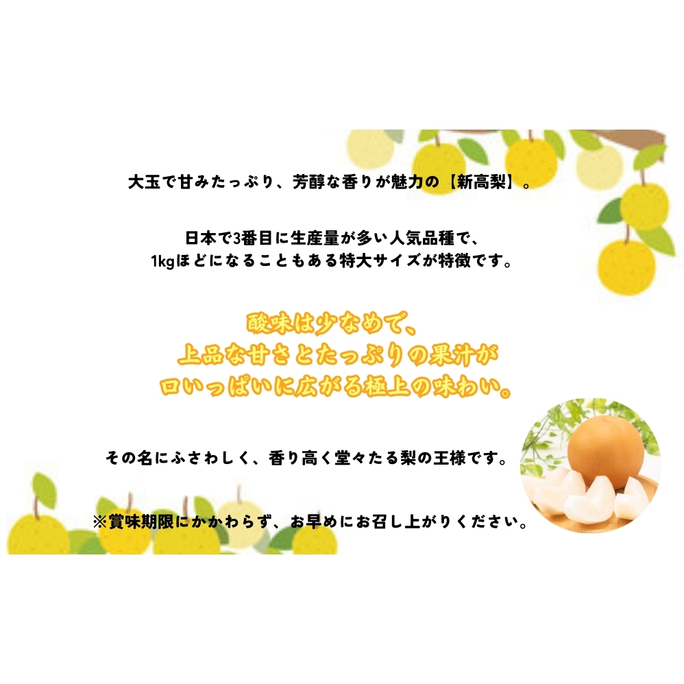 【予約受付中】【9月下旬～10月上旬より順次発送】【濱田農園】 新高梨 約3kg 【数量限定】