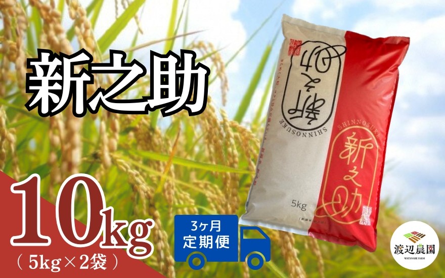 
                  令和8年産先行予約【 定期便 3ヶ月 】 米 10kg × 3回 五泉産 新之助 | 白米 精米 しんのすけ お米 おこめ コメ こめ おすすめ 人気 新潟県 五泉市 渡辺農園 
                