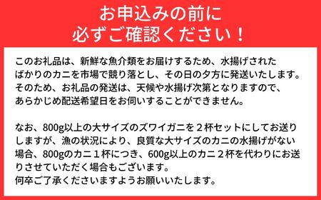〈期間限定〉越後 本ズワイガニ 大 800g前後×2杯  姿 糸魚川産 浜茹で 鮮度が命！茹でたて直送 ギフトにも おススメ!! ずわいがに かに カニ 蟹 魚正 国産 日本海 新潟県 