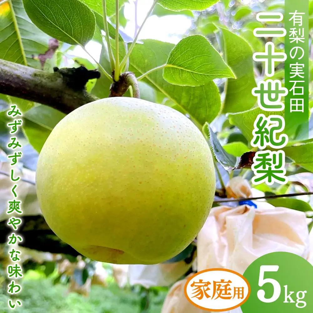 二十世紀梨 有梨の実石田 二十世紀梨 (自家用)5kg 8月下旬以降お届け