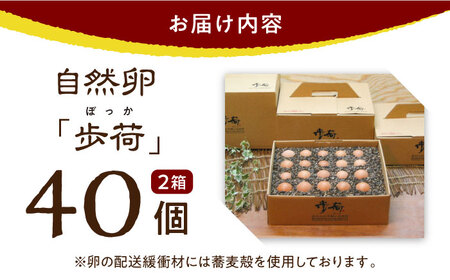 放し飼い 自然卵 「歩荷」 箱40個入 / 卵 たまご 鶏卵 玉子 平飼い / 稲沢市 / 平飼い自然卵歩荷 [BMBM002]