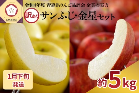 【2026年1月下旬発送】【訳あり】りんご 約5kg サンふじ & 金星セット 青森産