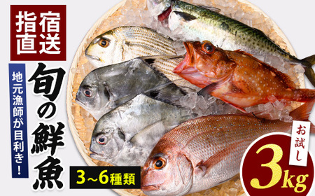 新鮮な魚をお届け 指宿産直便 漁師が選ぶ季節の鮮魚便 お試しセット 指宿山川水産 A-227 鮮魚 鮮魚