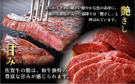 佐賀牛シャトーブリアンステーキ400g(200g×2枚)×3回定期便