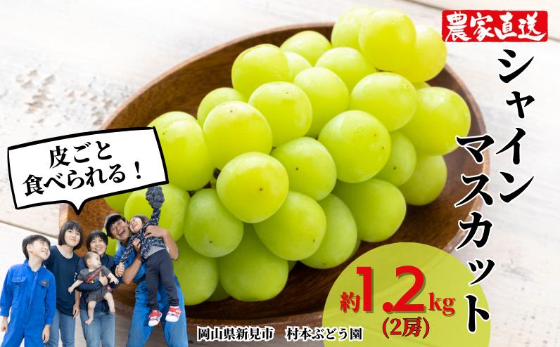
            村本ぶどう園 シャインマスカット 約1.2kg 2房 【先行予約 2026年10月上旬から順次発送】
          