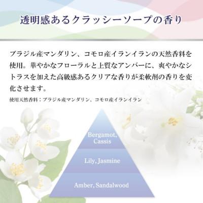 ふるさと納税 加東市 ファーファ　ファインフレグランス　レイヤリングウォッシュ　詰替900g　12個セット |  | 02