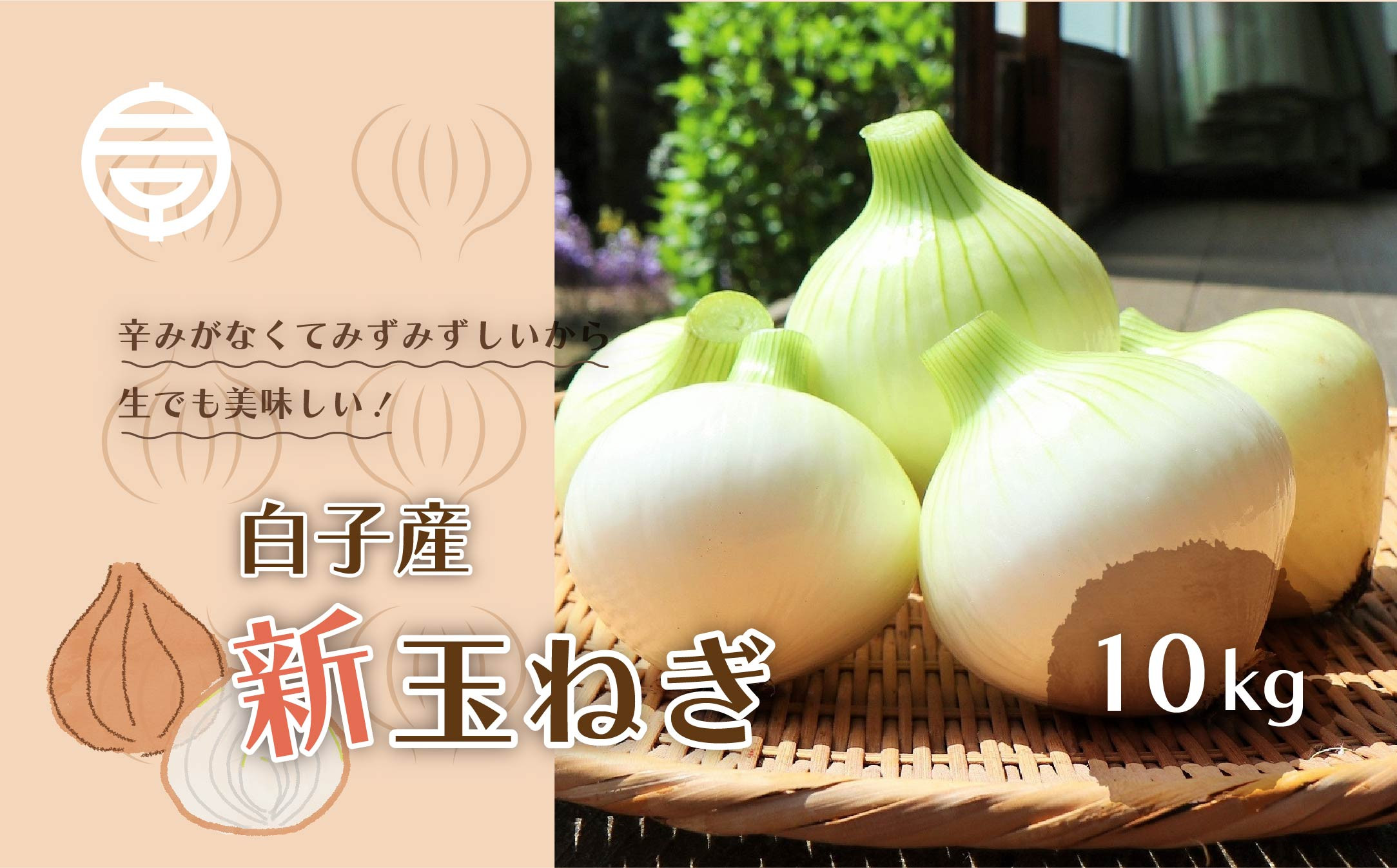 
            【令和7年の先行予約募集・数量限定】生で食べても美味しい！白子産の新玉ねぎ10kg たまねぎ 玉ねぎ 白子玉ねぎ スライス サラダ 健康 味噌汁 数量限定 先行予約  千葉県 白子町 送料無料 SHK001
          