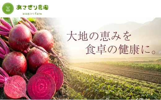 自社農園栽培 生ビーツ1kg ビーツ やさい 野菜 健康 美容 冷蔵 国産 九州 熊本県 あさぎり町