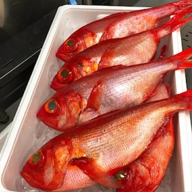 生から湯煎で仕上げる、金目鯛の煮付け【切身2枚】【鯛 魚介 海鮮】