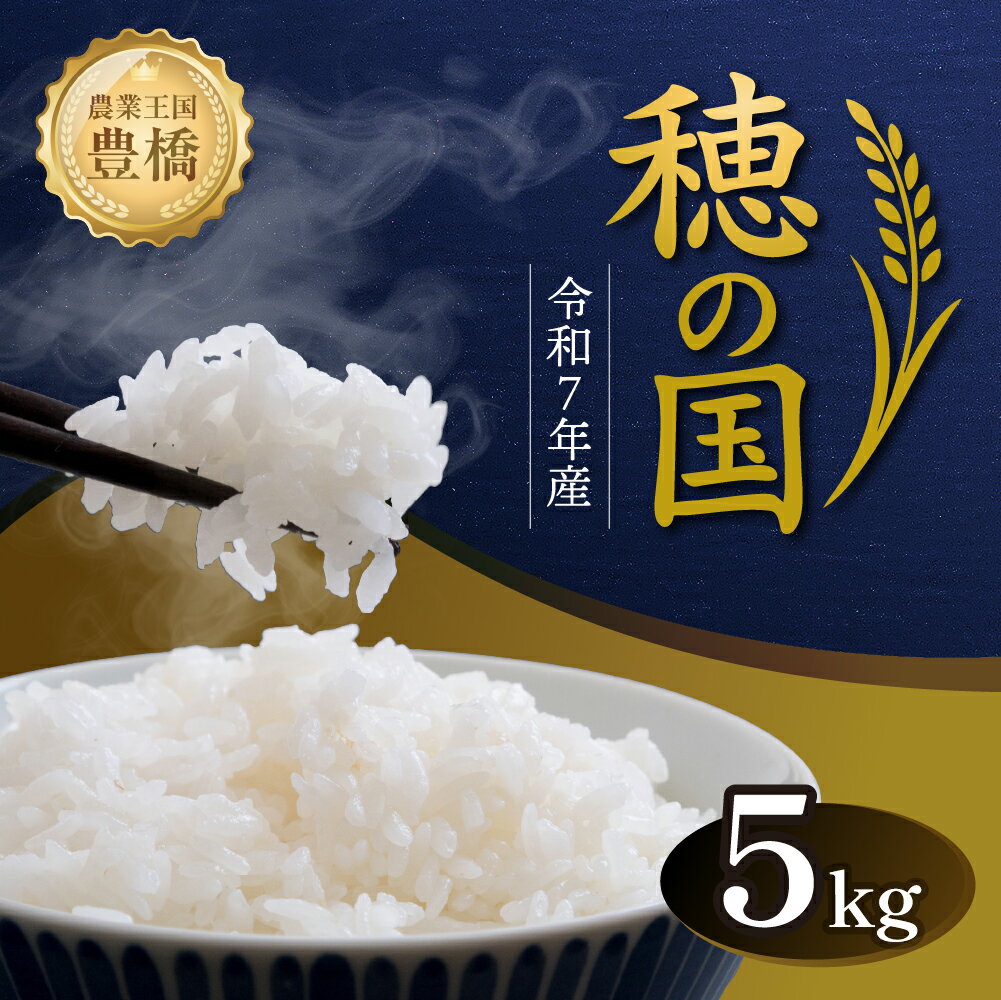 【ふるさと納税】《高評価☆4》先行予約 穂の国 あきたこまち 銘柄 銘柄米 ブランド ブランド米 お米 数量限定 精米 令和7年産 5kg 5キロ 国産 お米 簡易包装 訳あり 精米後 おいしい お米 米 在庫限り 期間限定 精米 白米 豊橋市 送料無料 寄附金額 13000円