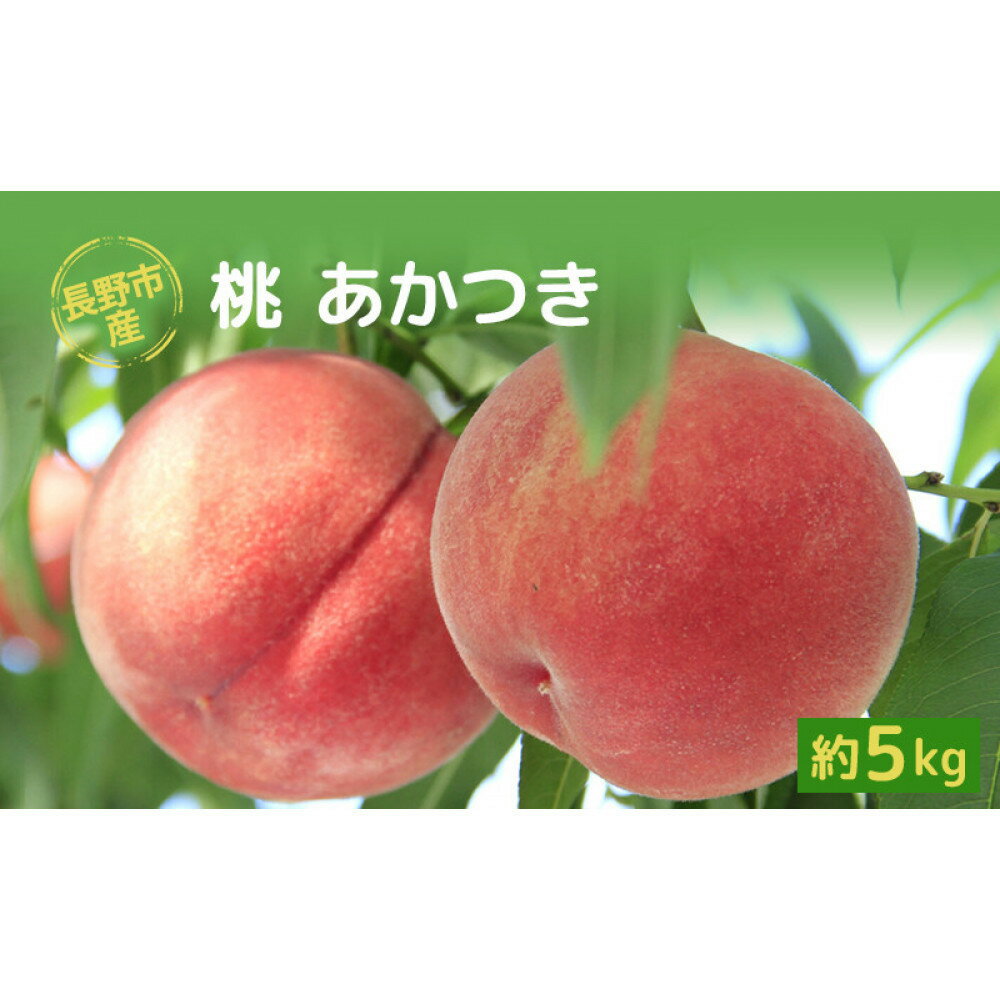 【ふるさと納税】長野市産桃「あかつき」約5kg（11～18個）