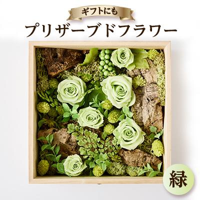 ふるさと納税 日出町 プリザーブドフラワー緑
