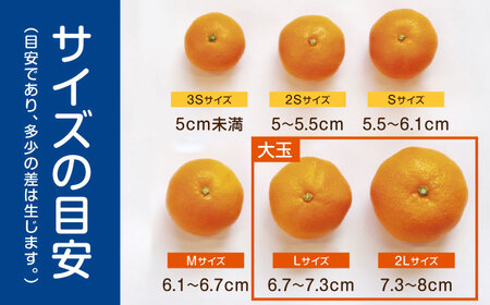 ※【2026年12月上旬より順次発送／先行予約】伊木力みかん(大玉) 5kg / みかん ミカン 蜜柑 柑橘 フルーツ ふるーつ 果物 くだもの / 諫早市 / 山野果樹園 [AHCF007]
