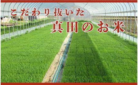 米 令和7年産 定期便 6ヶ月 関口さんちのお米 コシヒカリ 10kg お米 こめ コメ 新米　精米 白米 ご飯 こしひかり 長野 信州 6回 半年 お楽しみ