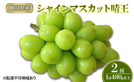 シャインマスカット 晴王 化粧箱入り 岡山県産 シャインマスカット【2房 1房480g以上】【先行予約】
