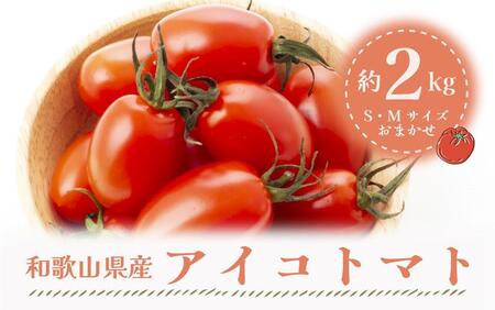 【2024年6月出荷分】和歌山産ミニトマト「アイコトマト」約2kg（S・Mサイズおまかせ）