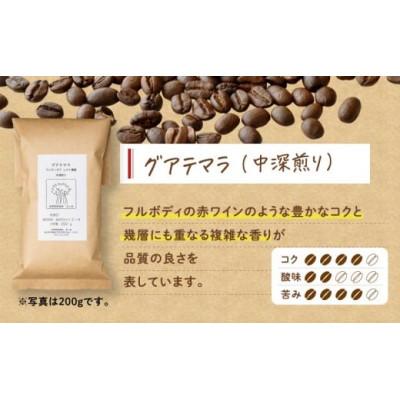 ふるさと納税 奄美市 【自家焙煎】豆と麦 グアテマラ(豆) 計600g(200g×3袋) |  | 02