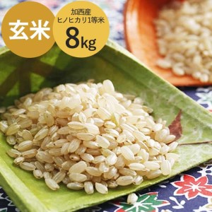 ヒノヒカリ 令和7年産 玄米 2等米 ヒノヒカリ【8kg】