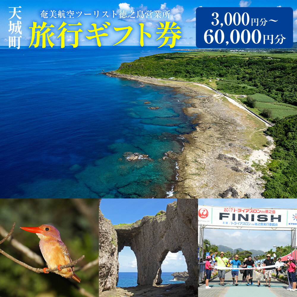 【ふるさと納税】＜選べるご利用金額＞旅行ギフト券 3,000円分～60,000円分 奄美航空ツーリスト 徳之島営業所 旅行クーポン 航空券 フェリー 徳之島 天城町 鹿児島 世界自然遺産 フェリー乗船券 宿泊券 旅行券 利用券 ギフト券 チケット 旅行 観光 鹿児島県 送料無料