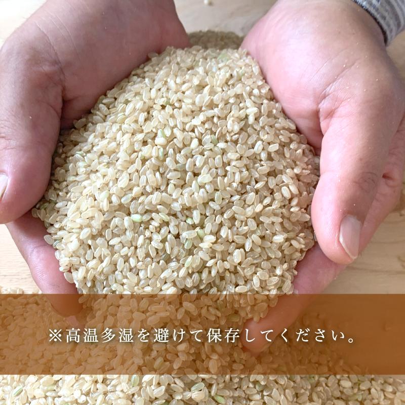 【 令和6年度産 新米 9月末発送 】 自然栽培米 こしひかり 5kg 精米 白米 ： お米 コシヒカリ 京都産 舞鶴産 自然栽培 精米 米 農家直送 コメ ご飯 健康 自然 無農薬 お米 玄米 自然