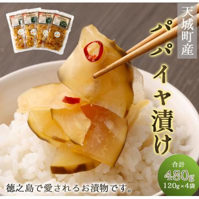 ふるさと納税 天城町 徳之島 天城町 パパイヤ漬け 4袋 セット パパイヤ 漬物 おつまみ 郷土料理 お土産