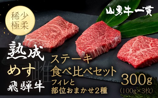 ＜8月から寄附額改定＞飛騨牛 堪能ステーキセット 計300g 飛騨の牧場で育った熟成『山勇牛』フィレとおすすめ部位2種ステーキ食べ比べセット 牛肉 和牛