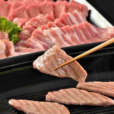 稲葉メルヘン牛(A5)　上カルビ焼肉600g(肩/肩ロース/バラのいずれか)【配送不可地域：離島・北海道・沖縄県・東北・中国・四国・九州】