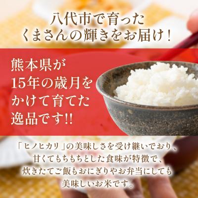 ふるさと納税 八代市 《令和7年産》くまさんの輝き 5kg×2袋 合計10kg  熊本県_274-6648 |  | 01