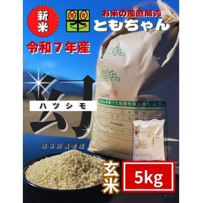 ふるさと納税 養老町 令和7年産　幻のハツシモ(旧品種)　玄米　5kg