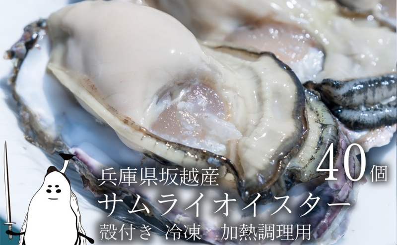 牡蠣 坂越かき 【冷凍】 殻付き 40個(加熱用)サムライオイスター 冬牡蠣 魚介類 カキ 加工食品 