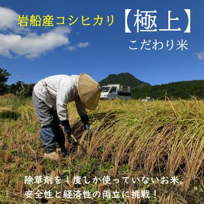 ふるさと納税 関川村 【毎月定期便】[極上]安心こだわり米 岩船産コシヒカリ精米6kg(3kg×2袋)[百姓屋]全6回