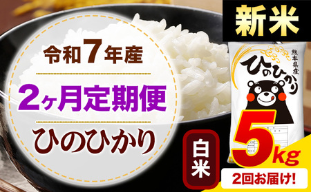 【2ヶ月定期便】新米 令和7年産 白米 ひのひかり 定期便 5kg《申込月の翌月から出荷開始》熊本県産 ふるさと納税 精米 ひの 米 こめ ふるさとのうぜい ヒノヒカリ コメ お米