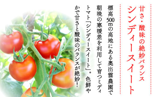 甘さ・酸味の絶妙バランス　シンディースイート　標高５００ｍの高地にある奥出雲農園で、朝晩の寒暖差を利用して育つミディトマト。