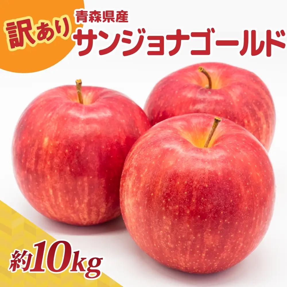 【10月後半以降順次発送】 りんご 約10kg 訳あり サンジョナゴールド 青森県産 りんご