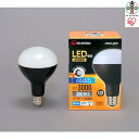 【ふるさと納税】LED電球 e39 投光器 屋外 LDR27D-H-E39 投光器用交換電球 作業灯 防水作業灯 3000ml 投光器 昼光色 クランプライト 防雨 防塵 防災用 作業場 省電力 広配光 長寿命 非常時 アイリスオーヤマ | 新生活