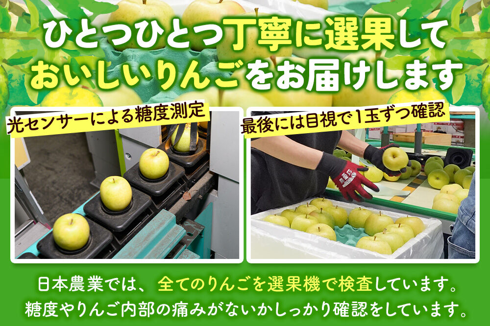 【26年12月発送】りんご ぐんま名月【おもてなし用】約10kg 平均糖度13度以上 青森県 弘前市 果物 フルーツ 林檎 リンゴ くだもの 先行受付 [先行受付 産地直送 アップル 青森県 弘前市]