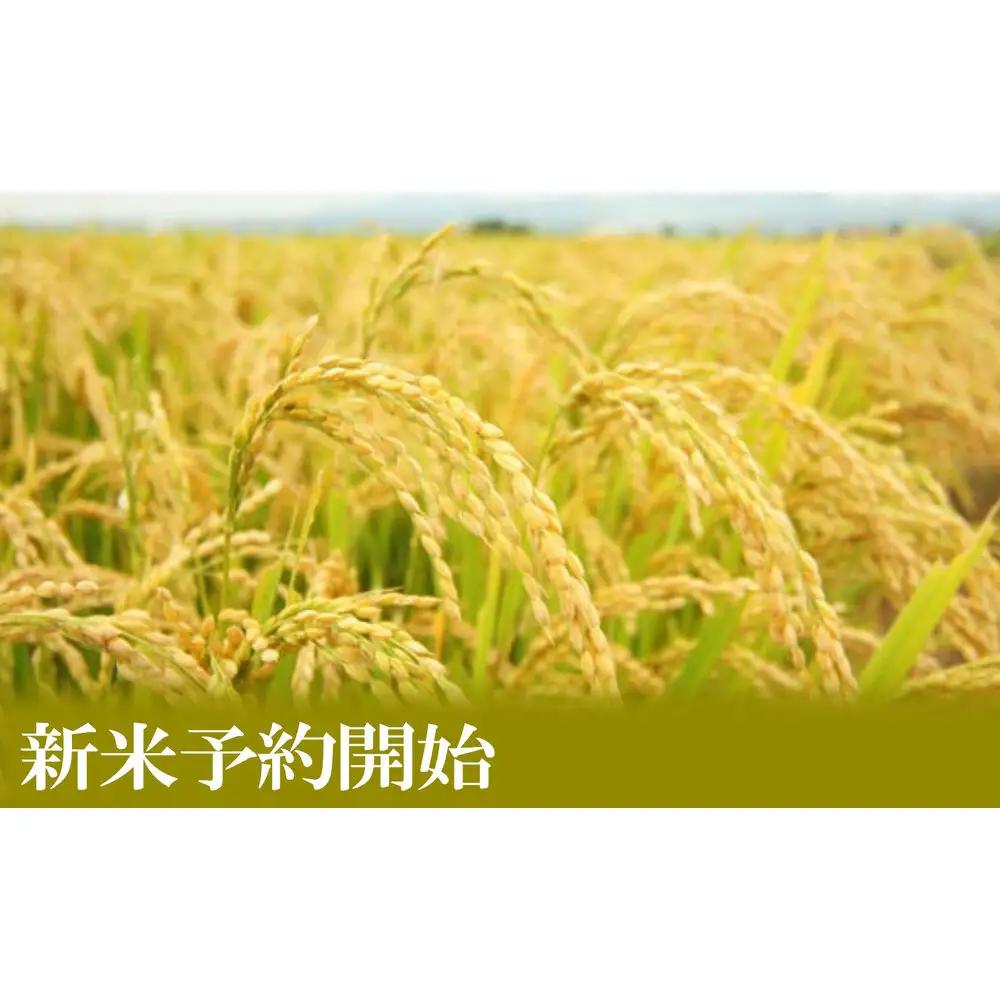【令和8年産　新米予約】定期便／２kg×12ヶ月 生産者限定 南魚沼しおざわ産コシヒカリ【定期便 銘柄米 ブランド米 精米 こしひかり コシヒカリ 魚沼産 新潟米 ごはん】【2026年10月上旬から1