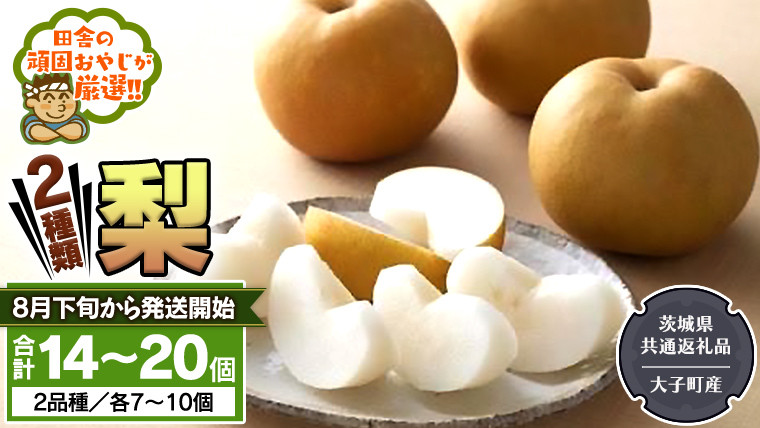 
            梨 2種 セット 【2025年8月下旬から発送開始】（茨城県共通返礼品 [梨]：大子町産） 田舎の頑固おやじが厳選！ なし 新高梨 和梨 フルーツ 果物 くだもの 高糖度 ギフト 茨城
          