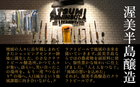 渥美半島醸造ブリュワーズセレクト クラフトビール 6本飲み比べセット