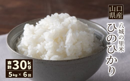 【定期便 6ヶ月】ひのひかり 精米 5kg  計30kg