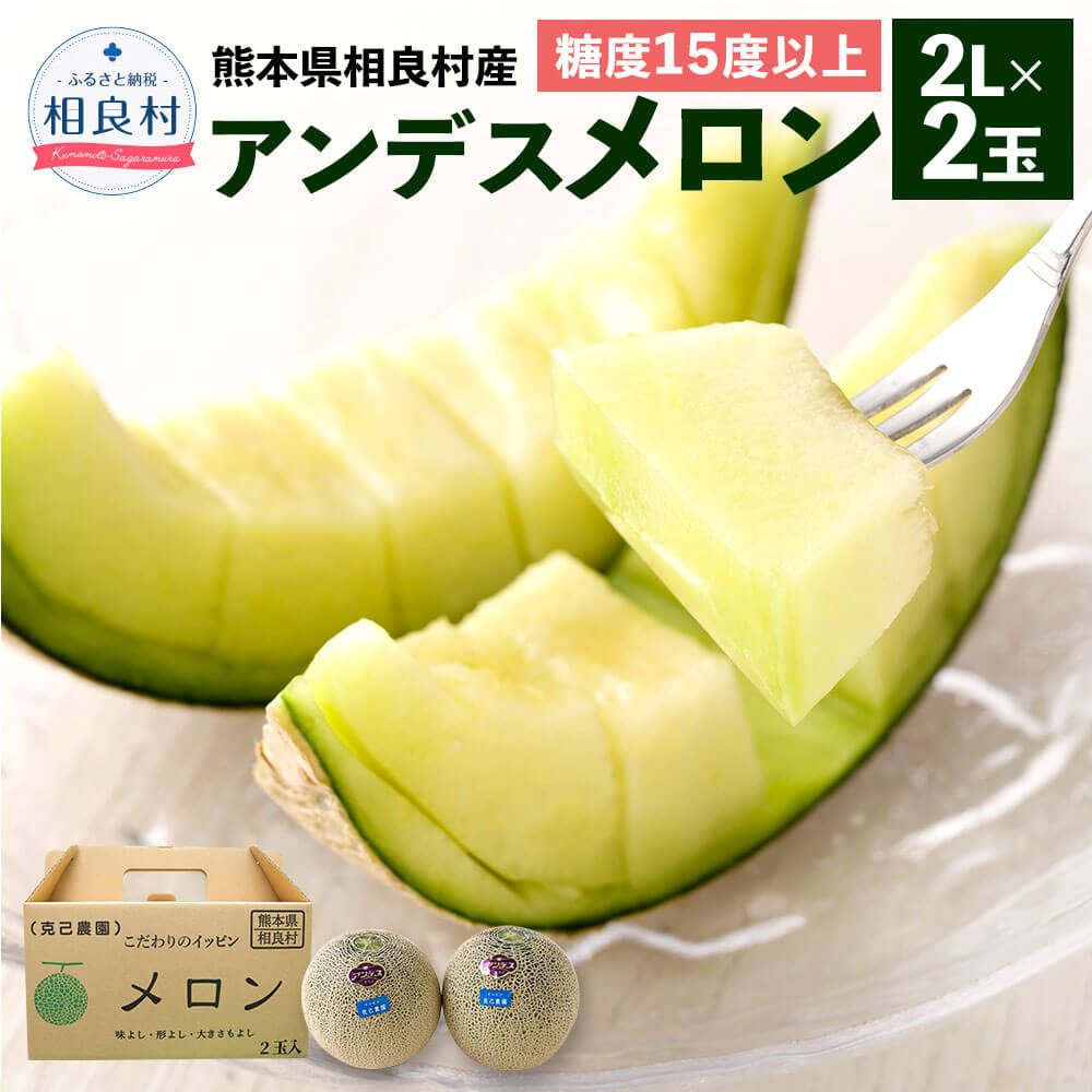 【ふるさと納税】相良村産 春メロン（アンデス） 2玉セット 2L以上×2玉 アンデスメロン【2026年4月下旬～5月下旬頃発送予定】果物 フルーツ 九州産 熊本県産 予約 送料無料