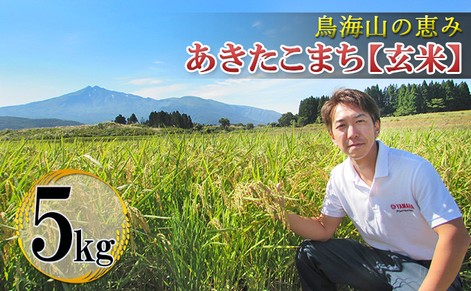 【新米先行予約 11月以降順次発送予定】 鳥海山の恵み 農家直送！ あきたこまち 5kg(玄米)  【令和8年度産 玄米 秋田 にかほ】