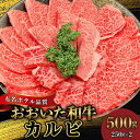 【ふるさと納税】国産 おおいた和牛 4等級 以上 牛肉 焼肉 カルビ 250g × 2 ホテルクオリティ サーロイン バラ肉 やわらかい 旨味 肉汁 高級焼肉 手軽 和牛 お肉 肉 ギフト のし対応可 冷凍 ミカド肉店 お取り寄せ お取り寄せグルメ 大分県 別府市 送料無料