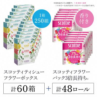 ふるさと納税 福知山市 ボックスティッシュ60箱+トイレットロール48ロール セット【複数個口で配送】