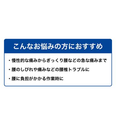 ふるさと納税 京都市 ファイテンサポーター ナノメタックス フィットタイプ 腰用(Mサイズ)|京都 サポーター 人気 |  | 01