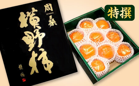 【先行予約】 愛媛県西条産 「横野柿（渋抜き）」（JA周桑） 特撰4Lサイズ×9玉入り　2025年12月発送 周ちゃん広場