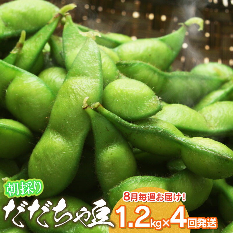 【ふるさと納税】【令和8年産先行予約】鶴岡市特産 朝採りだだちゃ豆 1.2kg×4回 8月中毎週お届け
