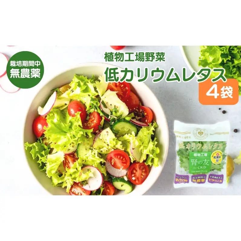 レタス 低カリウムレタス カリウム85%カット 洗わず食べられる レタス【4個入り】