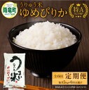 【ふるさと納税】【レビューキャンペーン実施】 令和5年産 うりゅう米 ゆめぴりか 5kg（5kg×1袋）定期便 毎月1回 計6回お届け 北海道産 米 精米 白米 ごはん ブランド おにぎり お弁当 おいしい 甘み お取り寄せ 北海道 雨竜町 送料無料