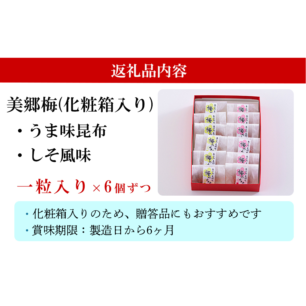 南高梅 梅干し 美郷梅 一粒入り うま味昆布 & シソ風味 各6粒 3Lサイズ A級品 化粧箱入り [農林産物直売所 美郷ノ蔵 宮崎県 美郷町 31ab0101] 国産 セット 詰め合わせ 宮崎県産_